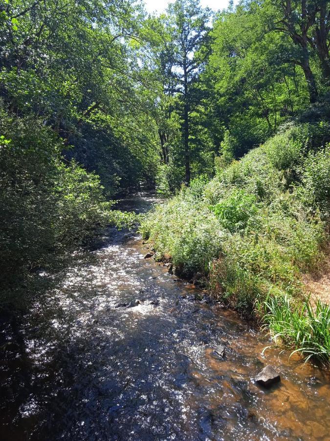 La Lisiere Du Morvan Magny-Lormes Exterior foto